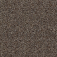 164