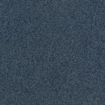3923