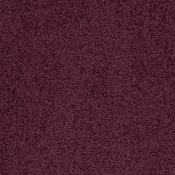 4031