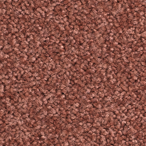 550