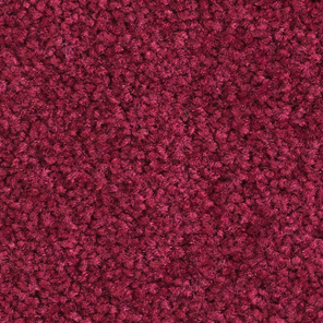 570