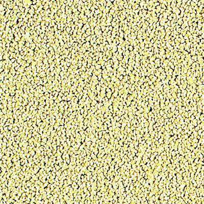 600