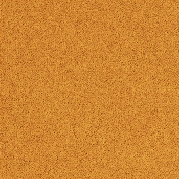 6017