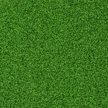 7261