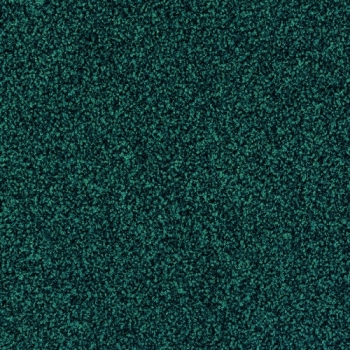 8161