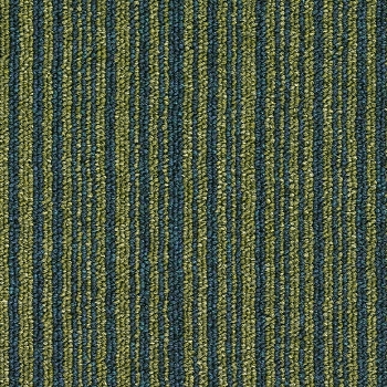 8173