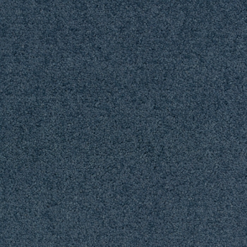 8431