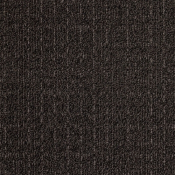 9091