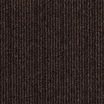 9091