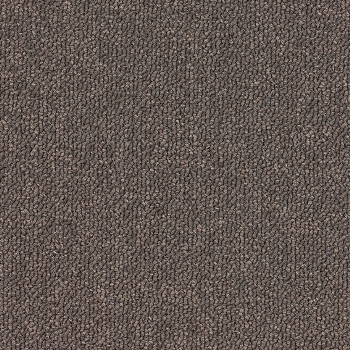 9094