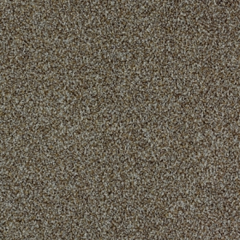 9094