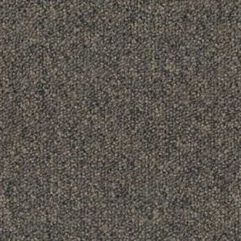 9094