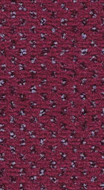 590