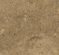 MS 47 Stria Sand