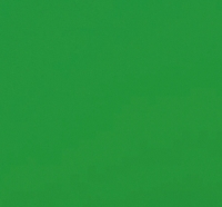 PN 88 Pure Plane Grass