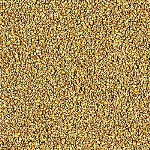 250