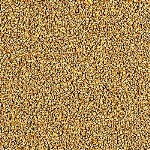 7501
