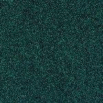 8161